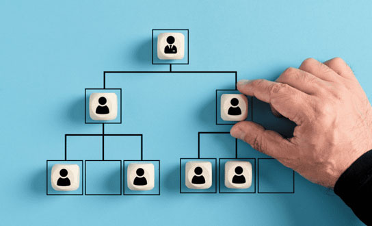 Organización